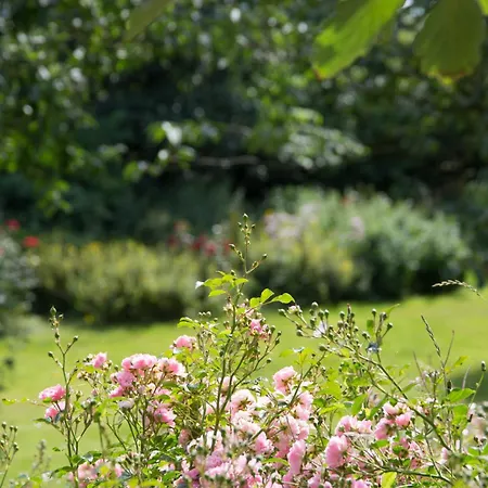 Waldhusenwarft Apartamento