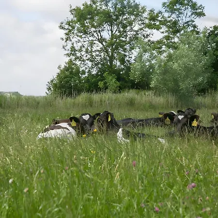 Apartamento Waldhusenwarft Pellworm