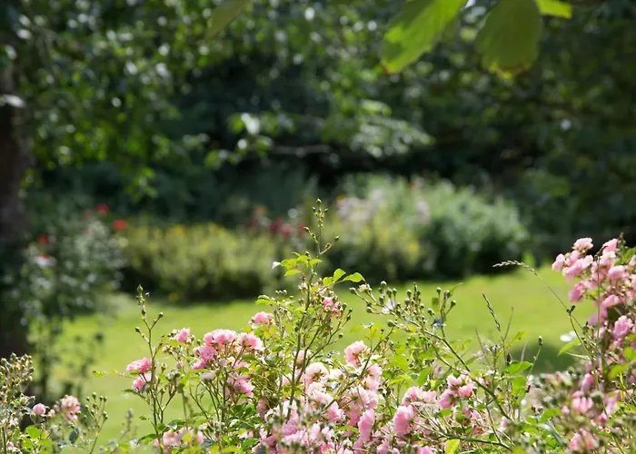 Waldhusenwarft Apartamento