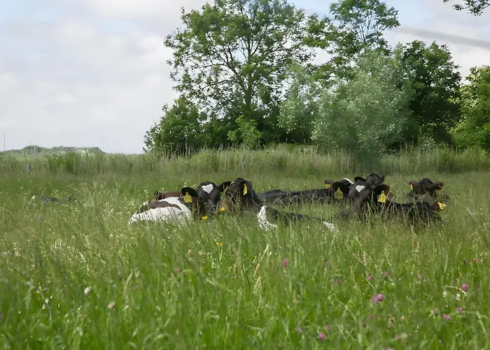 Apartamento Waldhusenwarft Pellworm